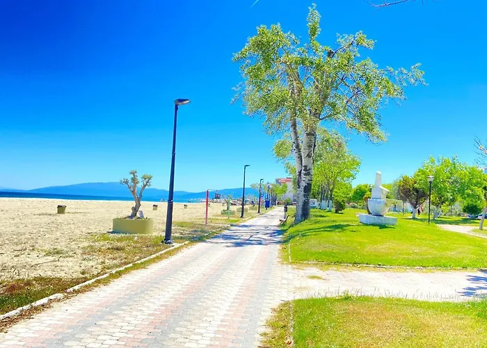 Radosevic *